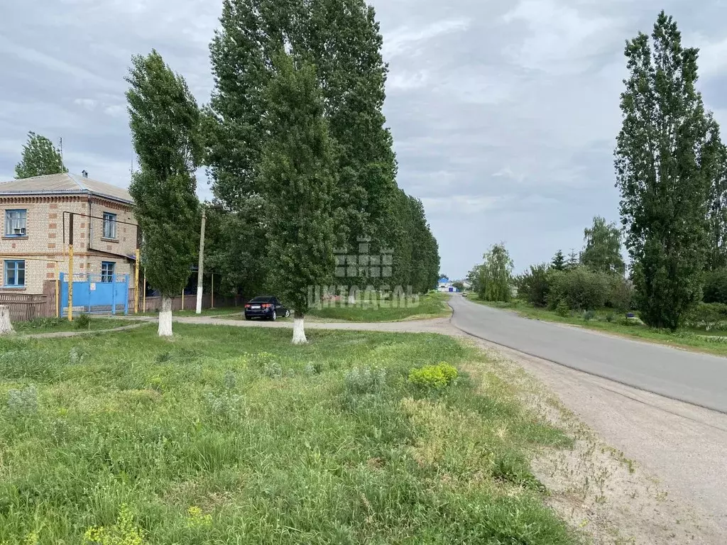 Помещение свободного назначения в Воронежская область, Бутурлиновка ... - Фото 2