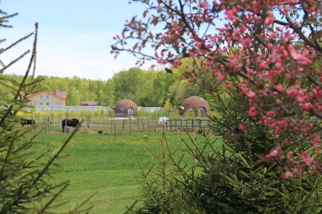 Дом в Калужская область, Жуковский муниципальный округ, Чубарово ... - Фото 2