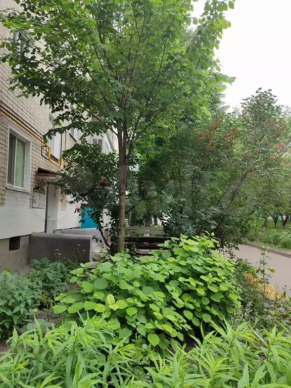 1-к. квартира, 30,1 м, 2/5 эт. - Фото 1