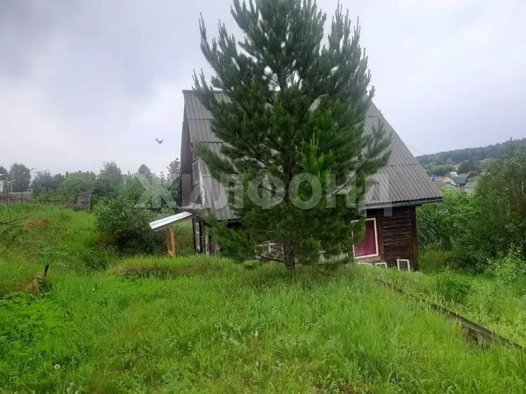 Участок в Новосибирская область, Новосибирский район, с. Кубовая ул. ... - Фото 1