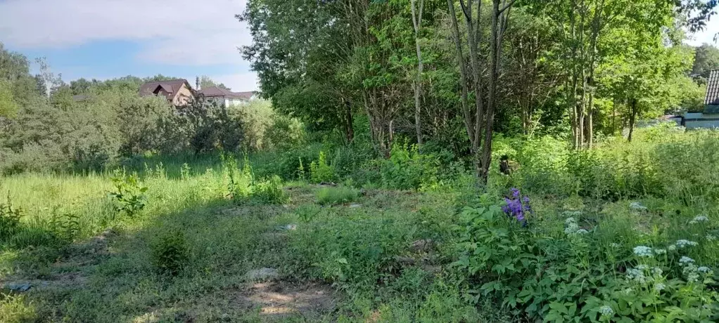 Участок в Московская область, Красногорск городской округ, Нахабино ... - Фото 1