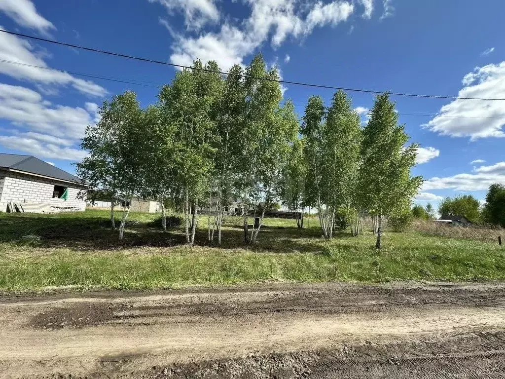 Участок в Новосибирская область, Новосибирский район, с. Верх-Тула ул. ... - Фото 0