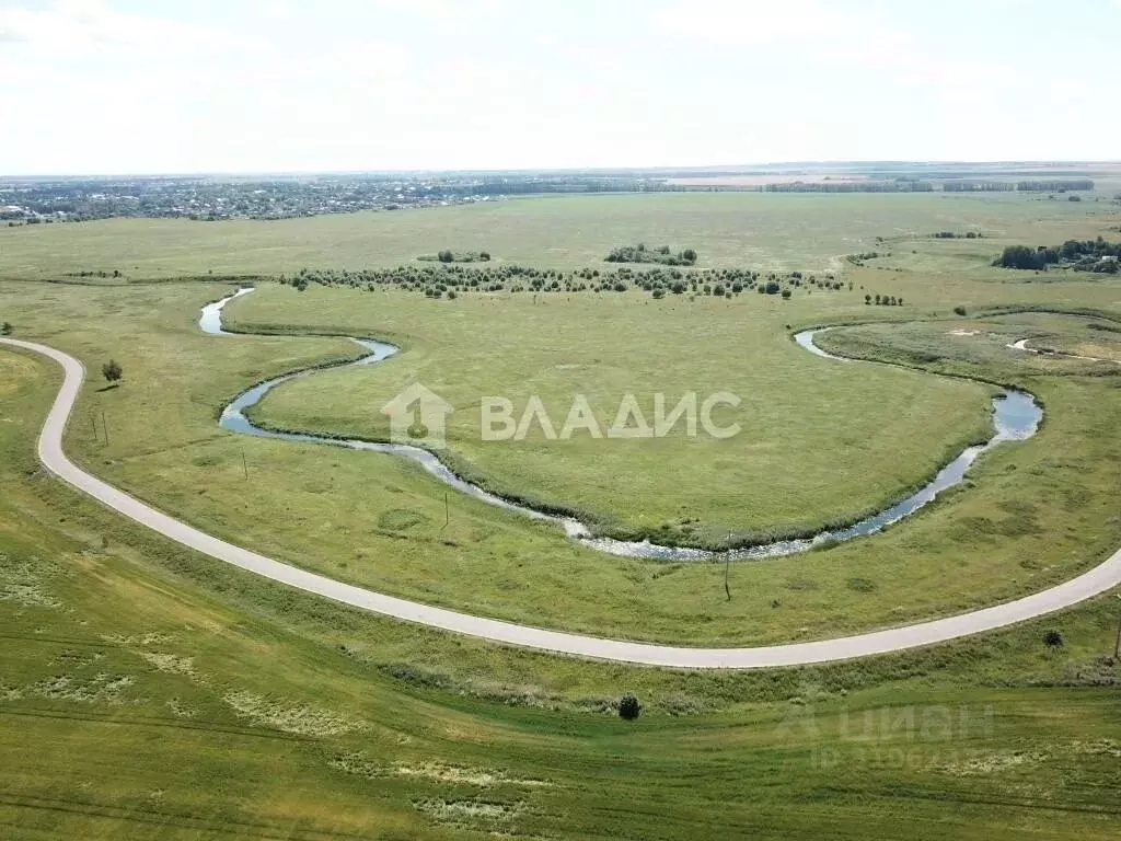 Участок в Владимирская область, Суздальский район, Селецкое ... - Фото 0