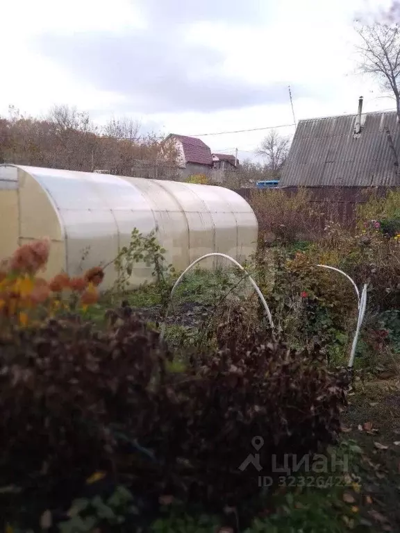 Участок в Брянская область, Брянск Рассвет садовое общество, 2 (8.32 ... - Фото 1