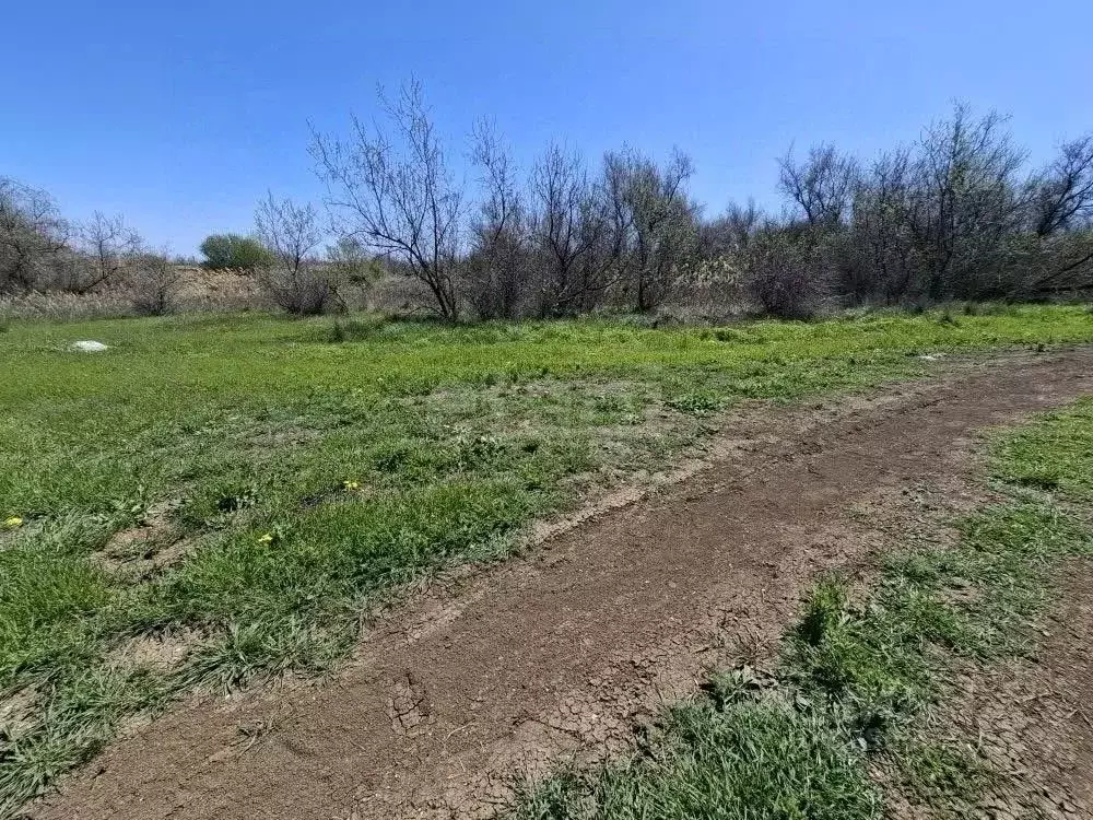 Участок в Крым, Феодосия пер. Казацкий (9.53 сот.) - Фото 1