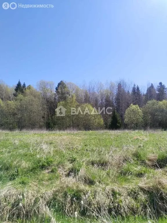 Участок в Вологодский муниципальный округ, посёлок Фетинино, ... - Фото 1
