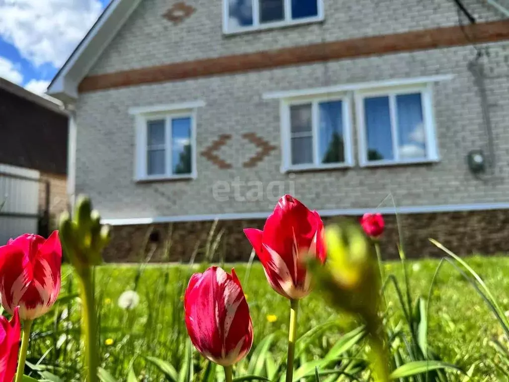 Дом в Воронежская область, с. Новая Усмань ул. Колхозная (100 м) - Фото 0