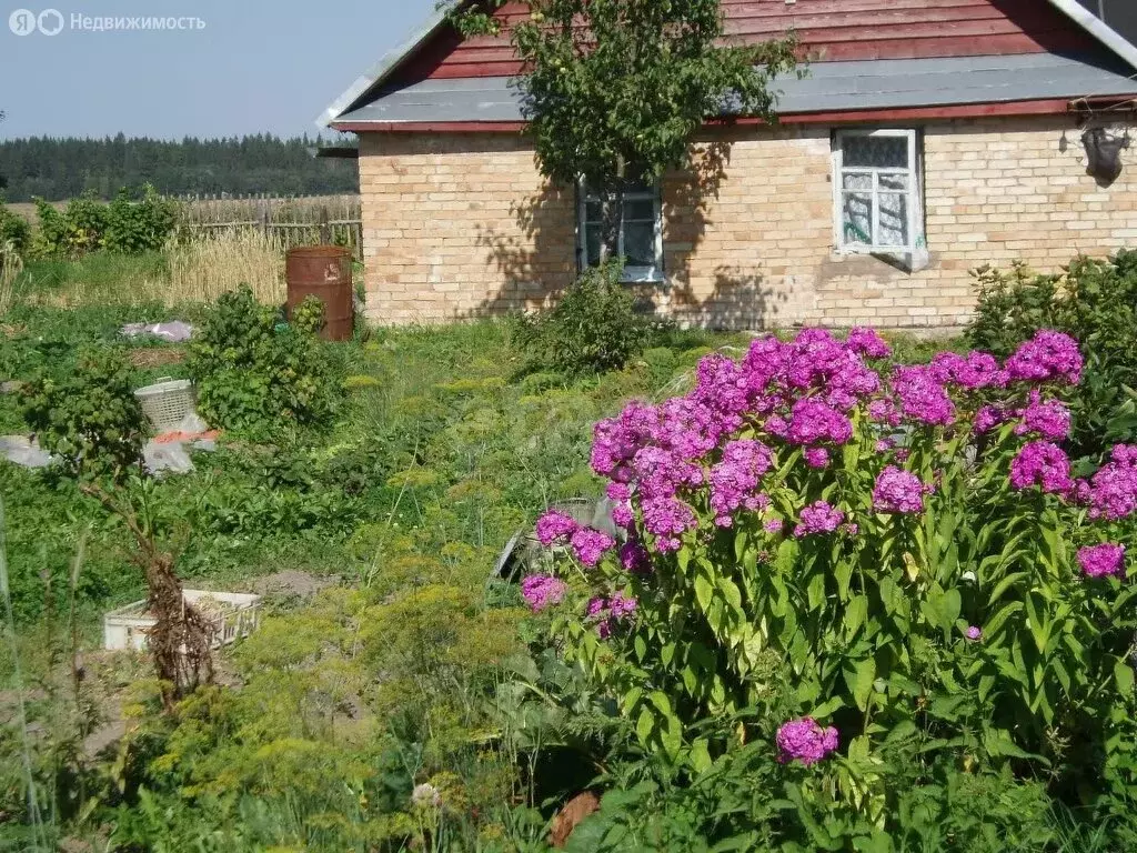Участок в деревня Большое Кикерино, Северная улица (8.8 м) - Фото 0