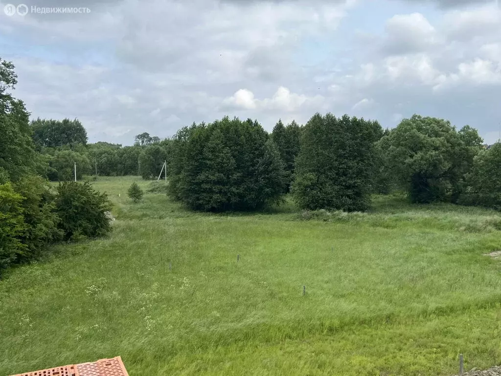 Участок в Калининградская область, Гурьевский муниципальный округ, ... - Фото 1