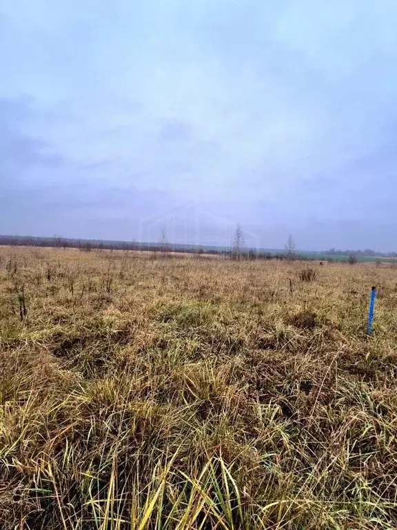 Участок в Московская область, Сергиево-Посадский городской округ, ... - Фото 1