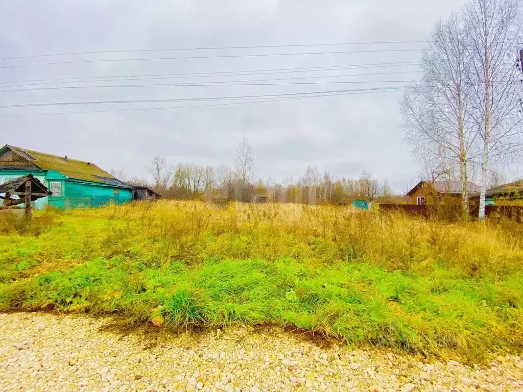 Участок в Владимирская область, Муром д. Саксино, ул. Лакина (15.0 ... - Фото 2