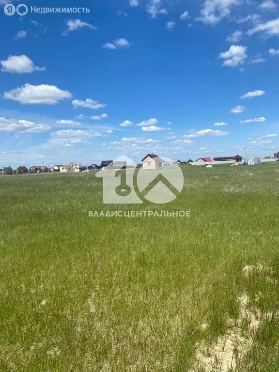 Участок в Толмачёвский сельсовет, деревня Алексеевка, улица Суворова ... - Фото 0