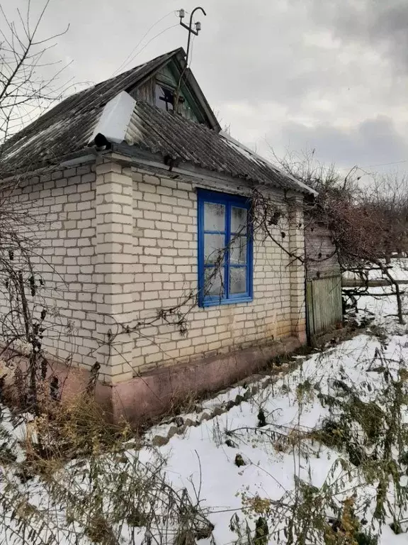 Дом в Белгородская область, Белгородский район, Беломестненское с/пос, ... - Фото 0