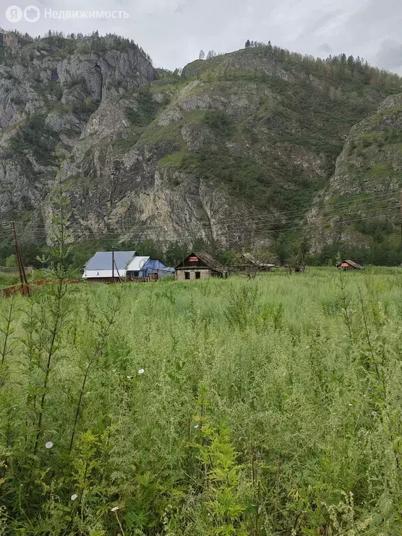 Участок в Чемальский район, село Еланда (20 м) - Фото 0