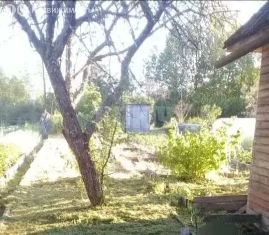 Дом в Вологодская область, Сокол (25 м) - Фото 1