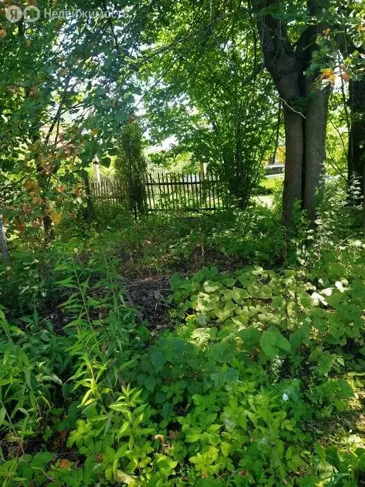 Участок в Богородский городской округ, СНТ Звезда, 26-я улица, 7 (8.3 ... - Фото 1