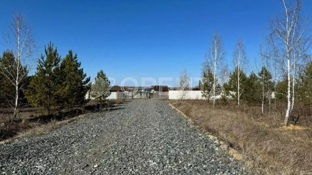 Участок в Тюменская область, Тюменский район, Онегин кп  (20.0 сот.) - Фото 1