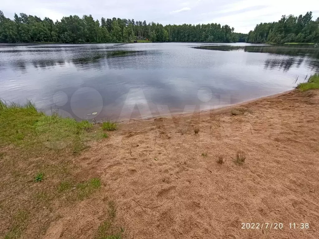 Дом 350м на участке 46,6сот. - Фото 1