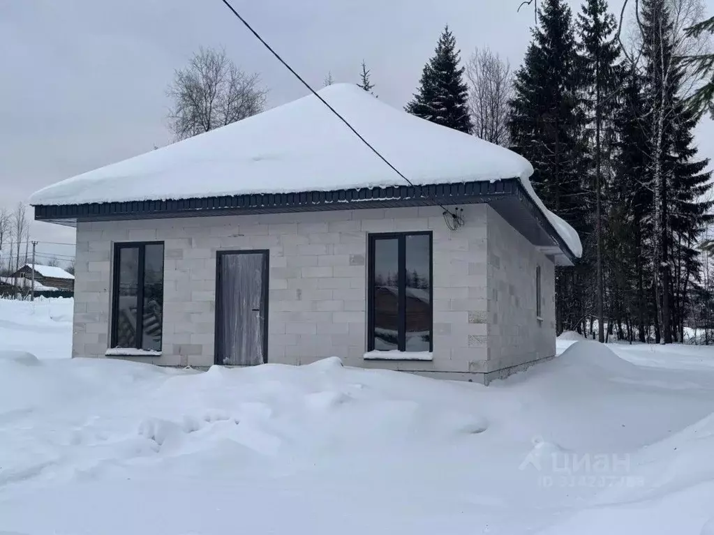 Дом в Пермский край, Березники ул. Павла Петухова, 28 (87 м) - Фото 0