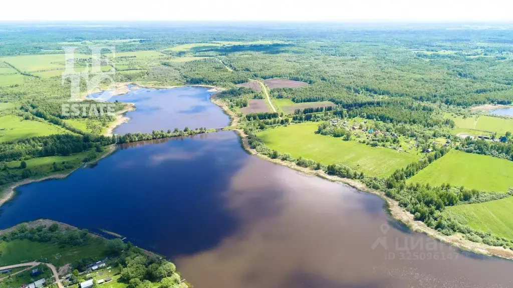 Участок в Ярославская область, Угличский муниципальный округ, д. ... - Фото 2