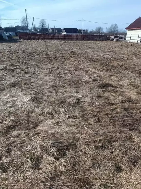 Участок в Костромская область, Костромской район, Бакшеевское с/пос, ... - Фото 2