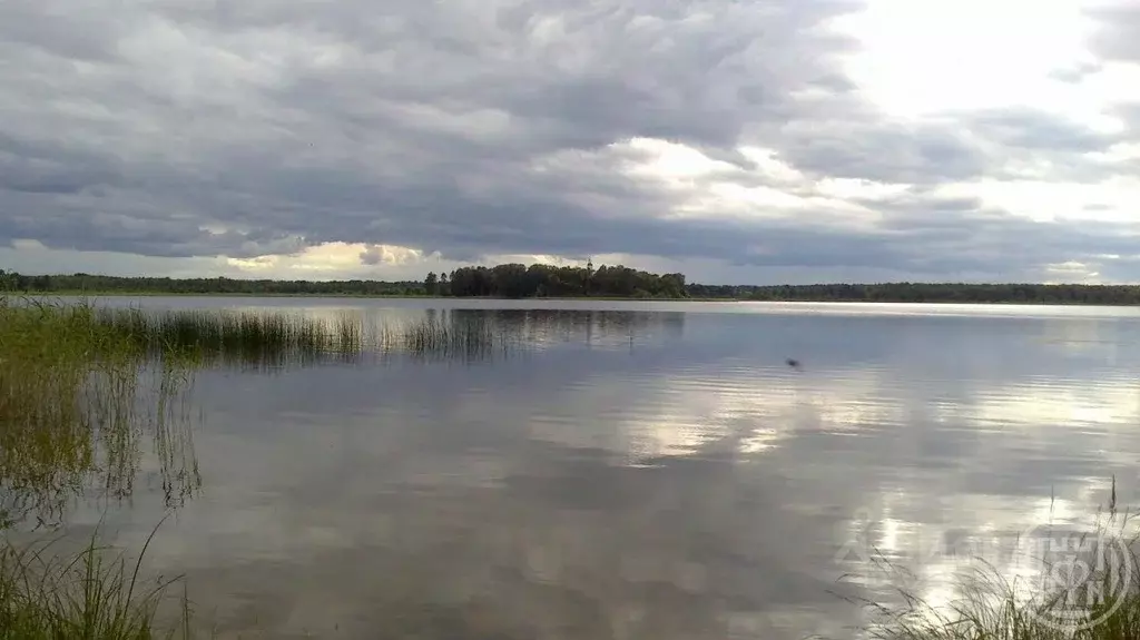 Участок в Ленинградская область, Лужский район, Скребловское с/пос, д. ... - Фото 2