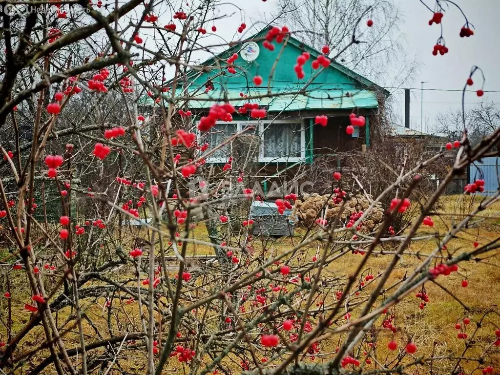 Дом в Владимирская область, городской округ Покров, деревня Дубровка, ... - Фото 1
