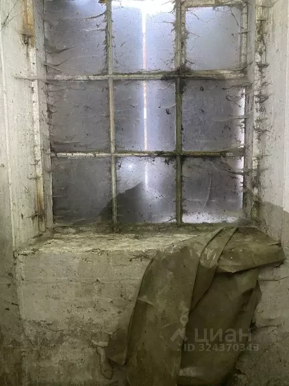 Помещение свободного назначения в Удмуртия, Сарапул ул. Раскольникова, ... - Фото 1