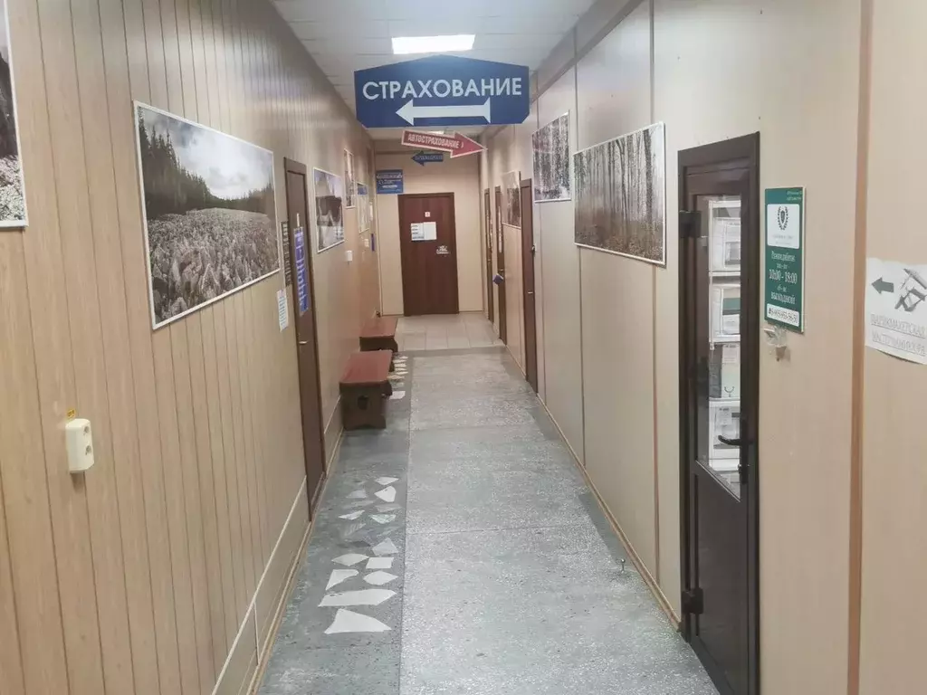 Офис в Новосибирская область, Сузун рп ул. Ленина, 52 (17 м) - Фото 1