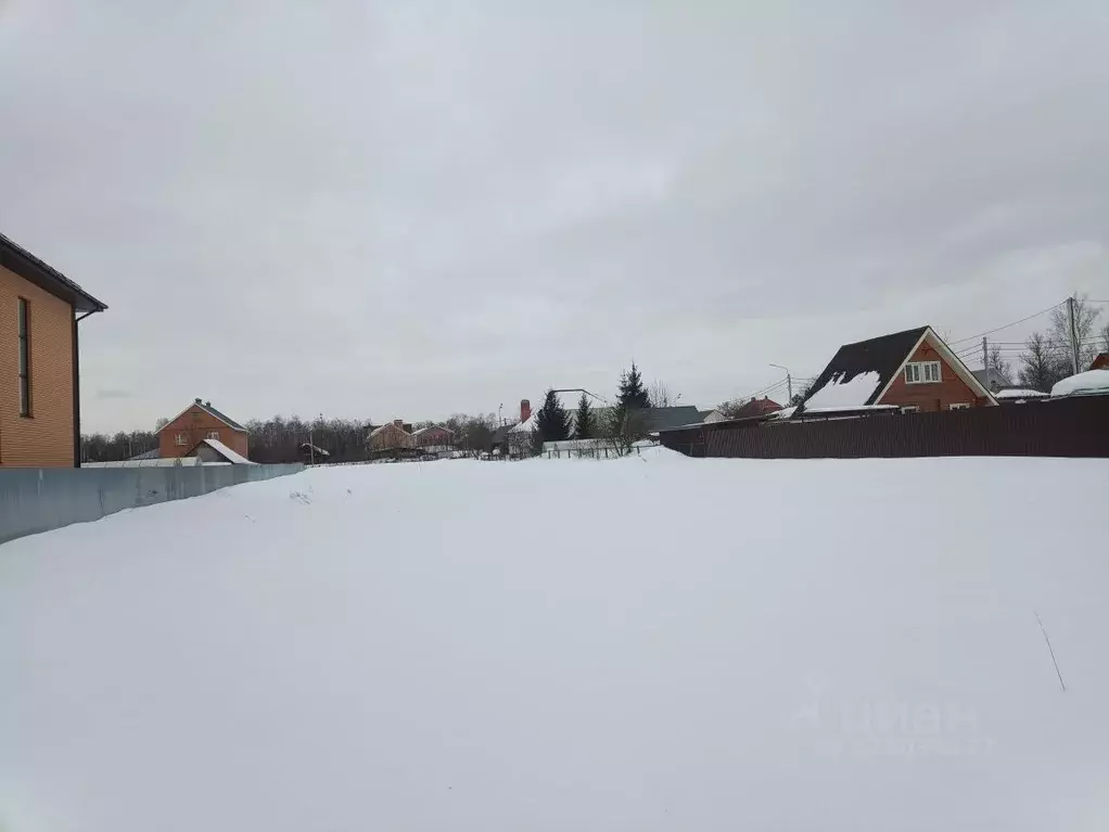 Участок в Московская область, Богородский городской округ, с. Ямкино ... - Фото 2