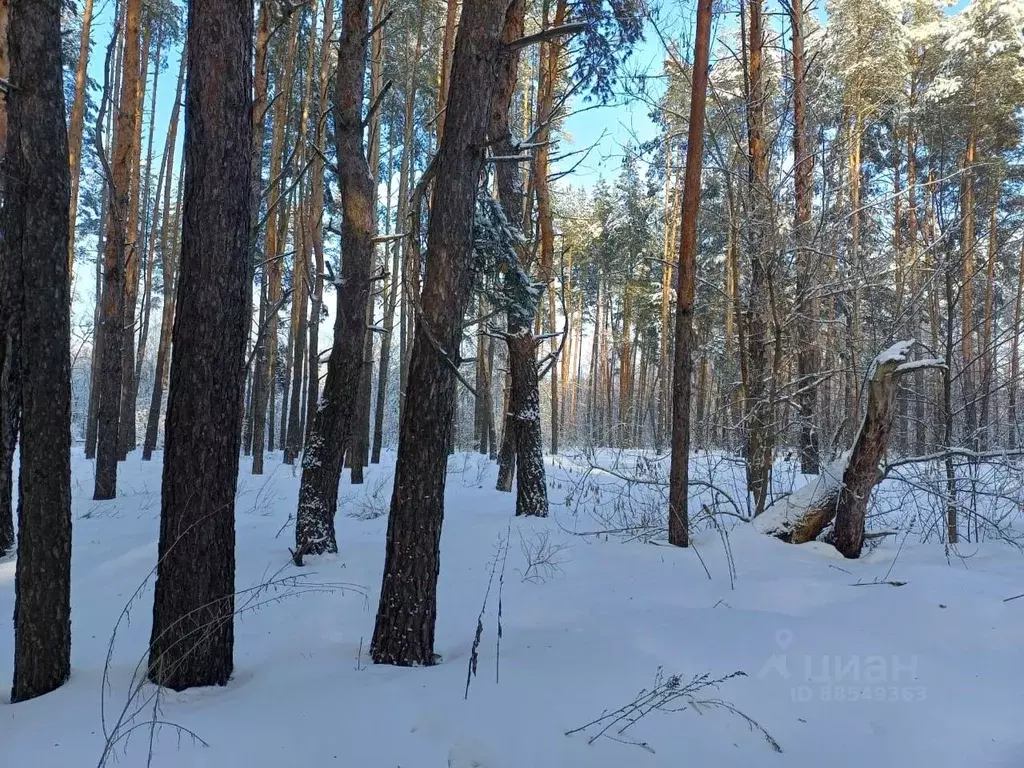 Участок в Тамбовская область, Знаменский муниципальный округ, с. ... - Фото 1