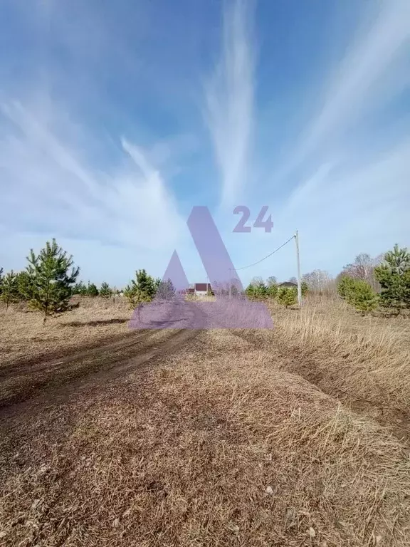 Участок в Алтайский край, Первомайский район, пос. Новый ул. Сиреневая ... - Фото 1