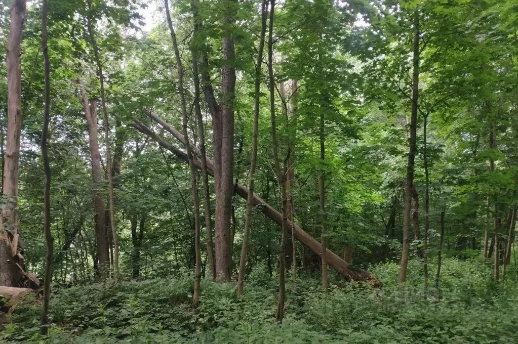 Участок в Московская область, Истра ул. Ленина, Река Истра (26.14 ... - Фото 0