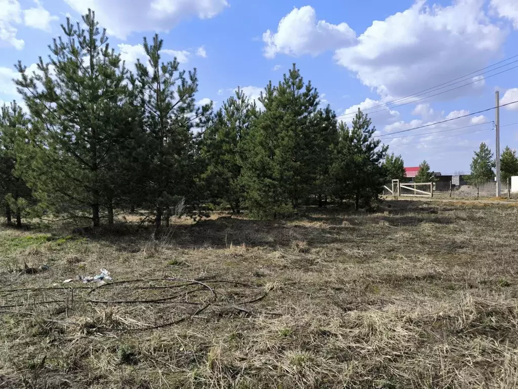 Участок в Московская область, Раменский муниципальный округ, с. Речицы ... - Фото 0