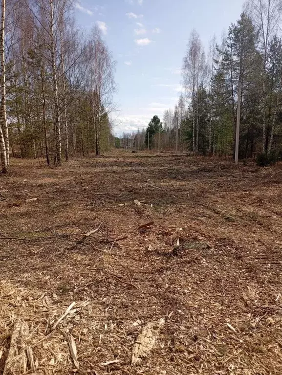 Участок в Владимирская область, Владимир ул. Большая Лукинская, 60 ... - Фото 0