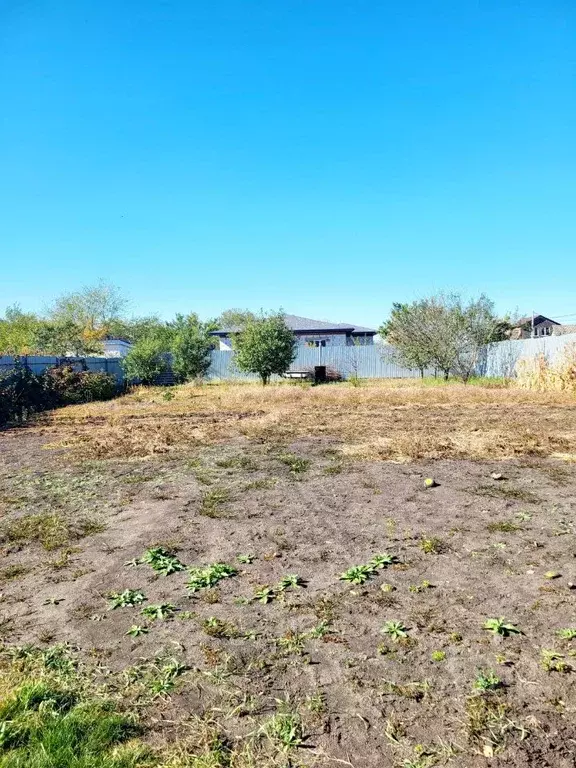 Участок в Воронежская область, Новоусманский район, Отрадненское ... - Фото 1