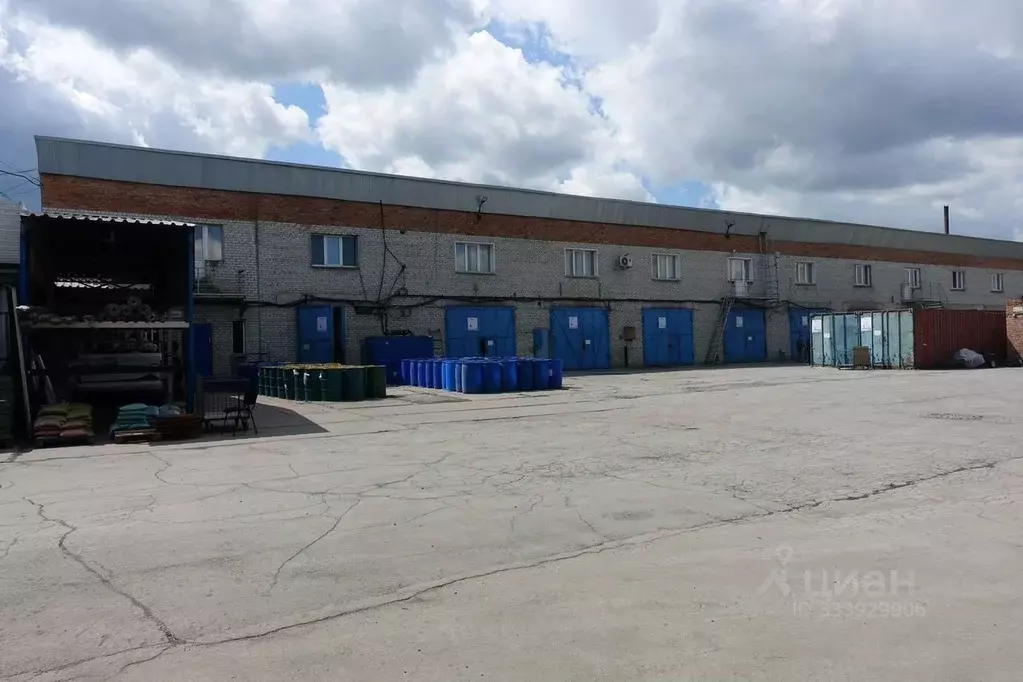 Офис в Новосибирская область, Бердск Промышленная ул., 2А (415 м) - Фото 1