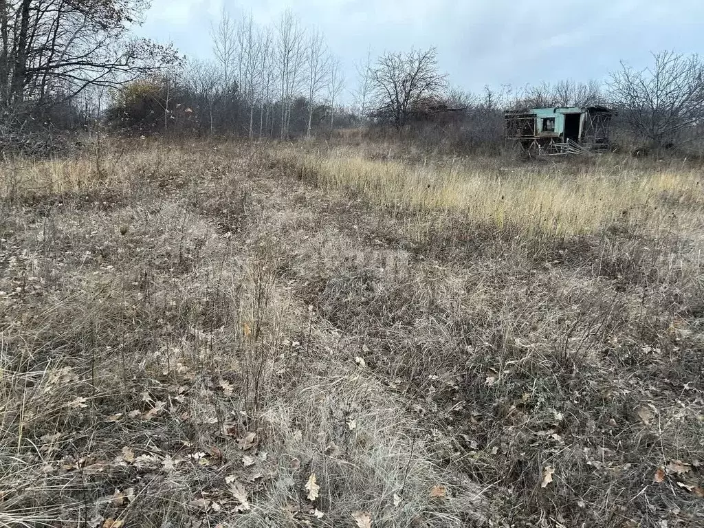 Участок в Белгородская область, Белгородский район, Новосадовское ... - Фото 1