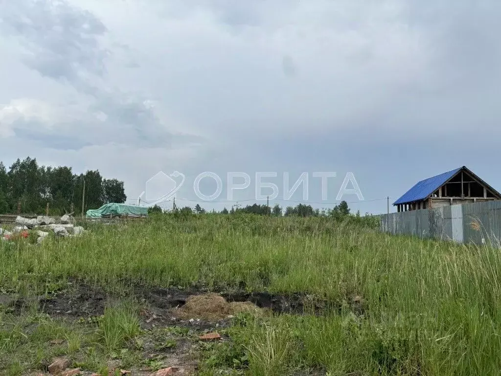 Участок в Тюменская область, Тюмень Садовое товарищество Липовый ... - Фото 2