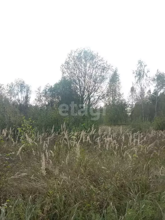 Участок в городской округ Калуга, деревня Мстихино (20 м) - Фото 0