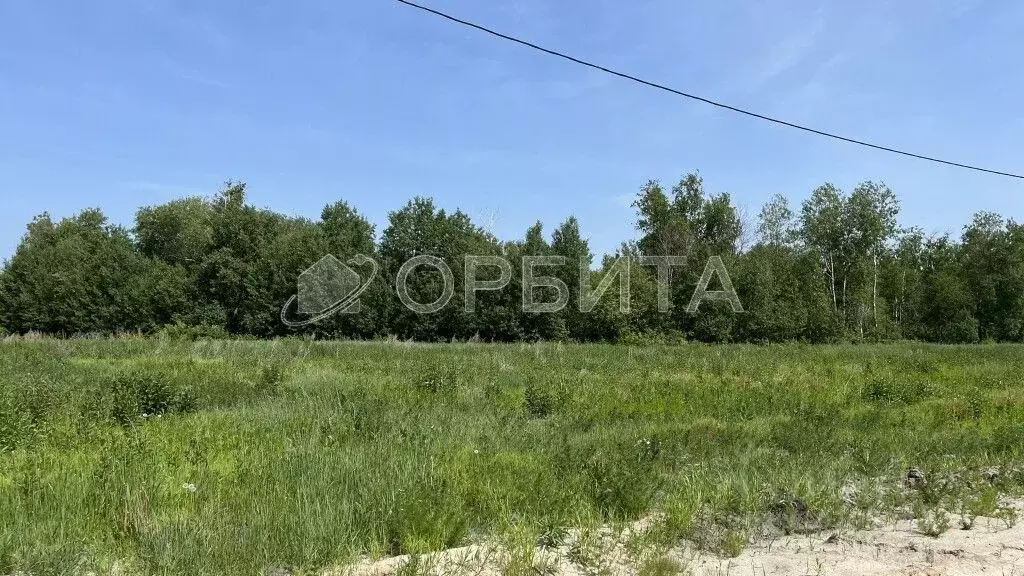 Участок в Тюменская область, Тюменский район, д. Елань ул. Молодежная, ... - Фото 1