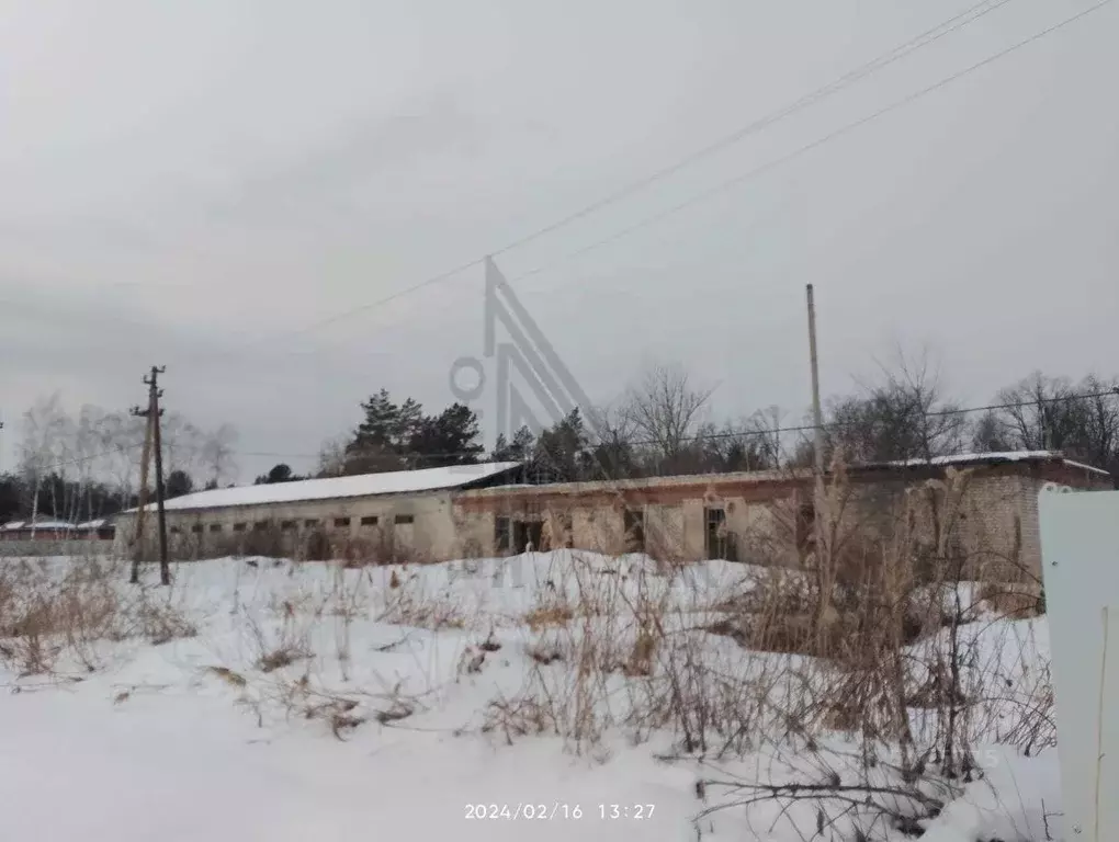 Участок в Воронежская область, Воронеж ул. Сосновая, 23Ж (129.6 сот.) - Фото 0