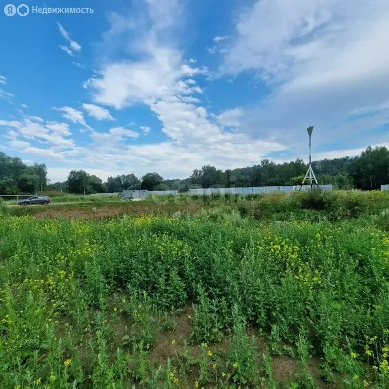 Участок в Калужская область, Боровский муниципальный округ, сельское ... - Фото 2