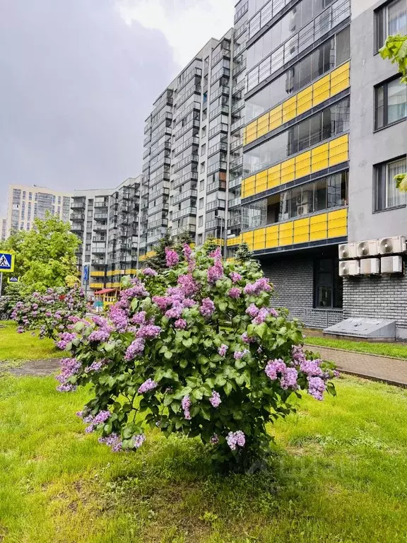 2-к кв. Татарстан, Казань ул. Сибгата Хакима, 60 (76.5 м) - Фото 0