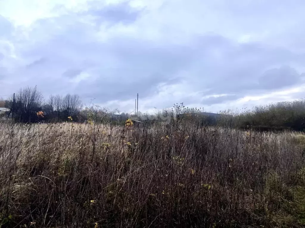 Участок в Мордовия, Саранск городской округ, Николаевка рп ул. Ленина ... - Фото 1