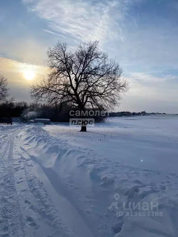 Участок в Башкортостан, Чишминский район, Алкинский сельсовет, с. ... - Фото 0