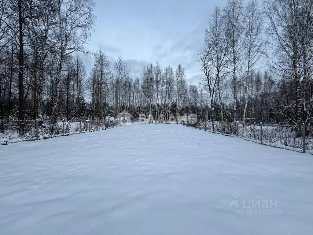 Участок в Владимирская область, Владимир Лунево мкр,  (10.0 сот.) - Фото 2