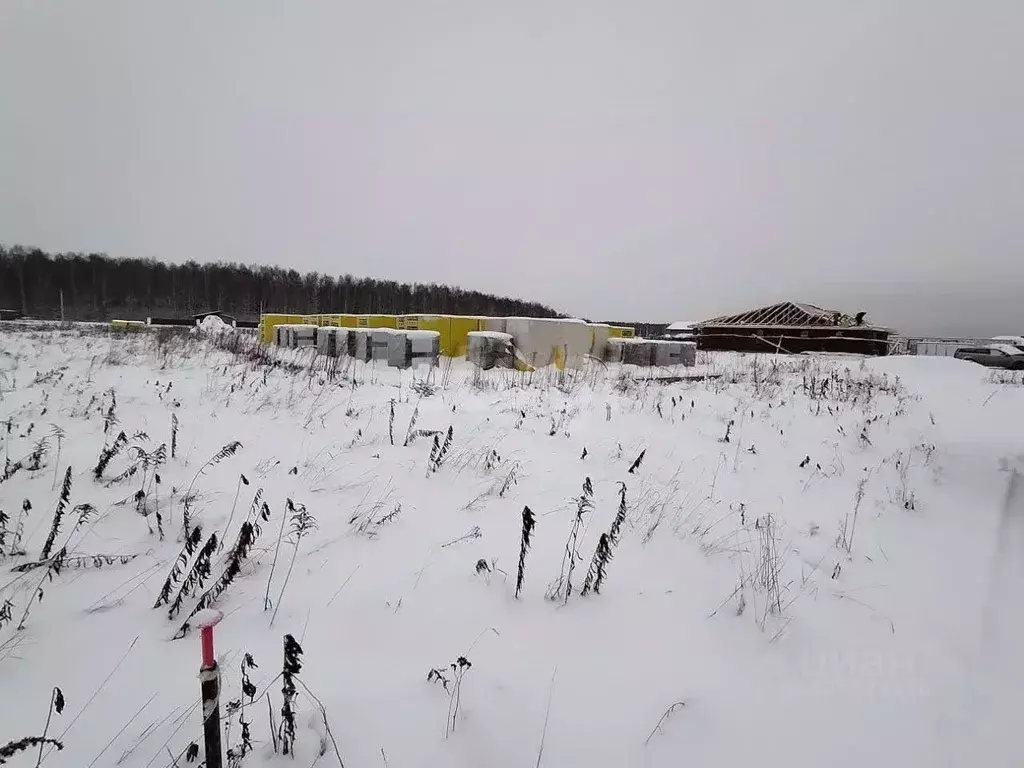 Участок в Владимирская область, Ковровский муниципальный округ, д. ... - Фото 2