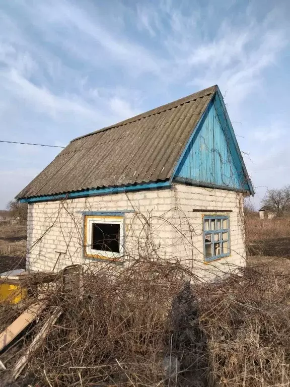 Участок в Брянская область, Брянский район, Мичуринское с/пос, ... - Фото 0