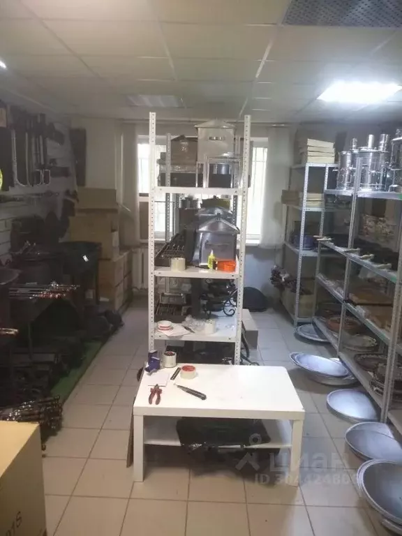 Помещение свободного назначения в Челябинская область, Челябинск ... - Фото 2